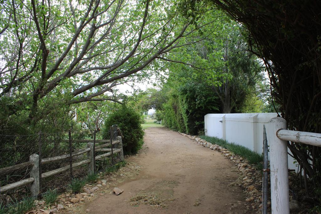 Acacia Cottage Prince Albert Εξωτερικό φωτογραφία