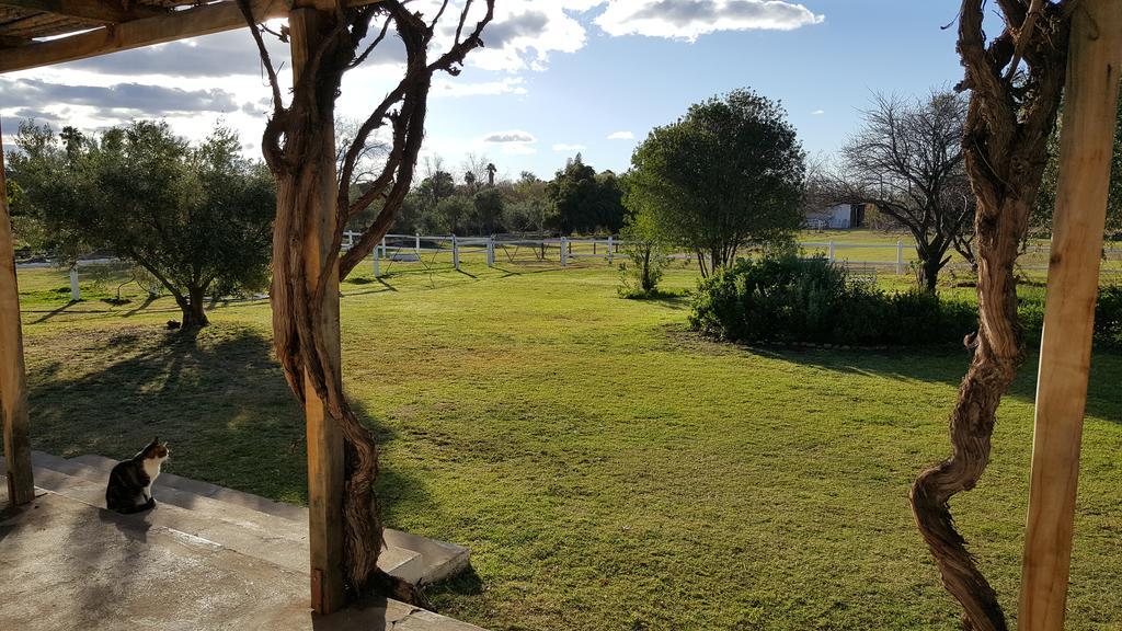 Acacia Cottage Prince Albert Εξωτερικό φωτογραφία
